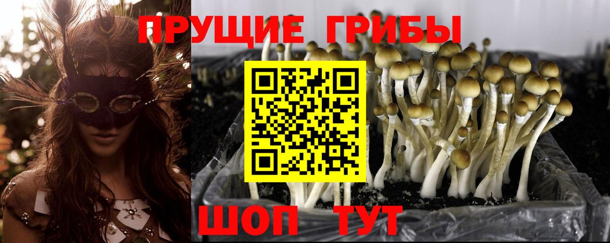 Галлюциногенные грибы Cubensis  Вход с VPN  Галлюциногенные грибы мухоморы  Артёмовский 