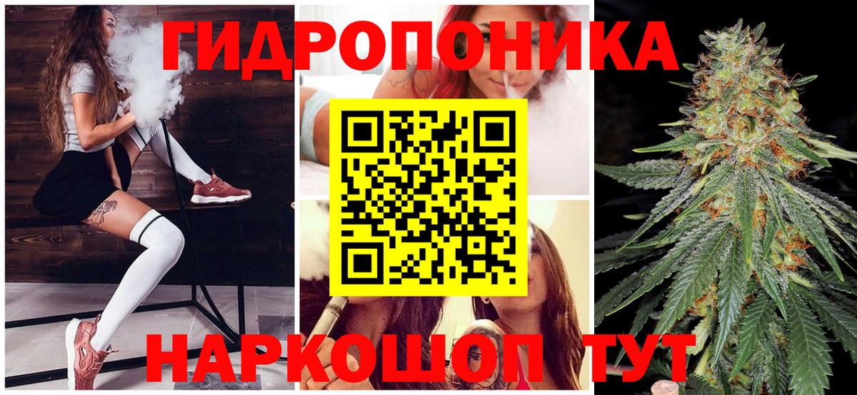 Каннабис сатива Артёмовский